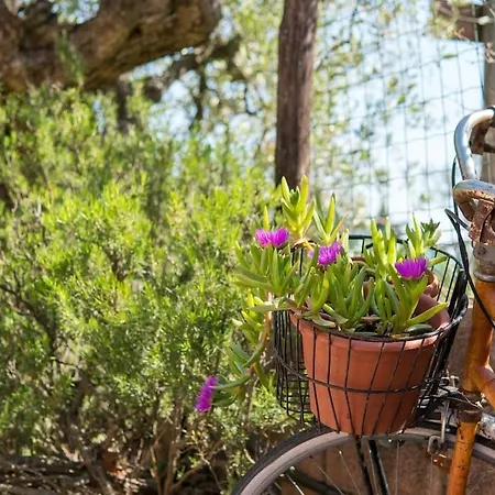 De Santis Agroturismo Castiglioncello