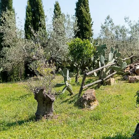 בית חווה De Santis *